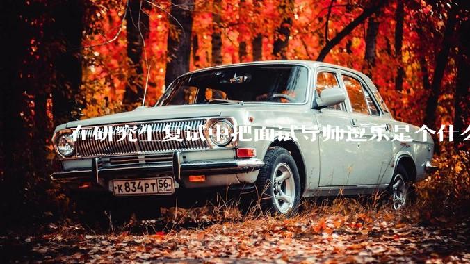 在研究生复试中把面试导师逗乐是个什么体验?