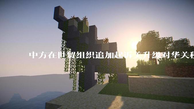 中方在世贸组织追加起诉美升级对华关税措施，具有怎样的意义？