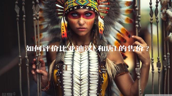 如何评价比亚迪汉L和唐L的售价?