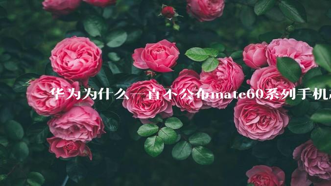 华为为什么一直不公布mate60系列手机芯片？
