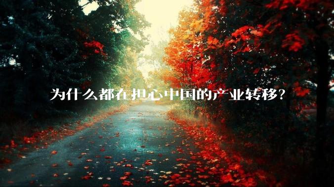为什么都在担心中国的产业转移？